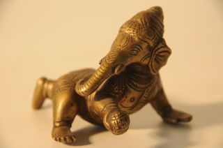 älterer Elefant Shiva Bild