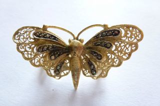 Exclusive Seltene Dekorative Antike Brosche Silber Filligraner Schmetterling Bild