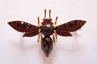 Wundervoll Seltene Jugendstil Art Nouveau Brosche Fliege Biene Mit Granaten Bild