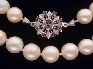 3 Tage Perlen Kette,  Echte Akoya - Perlen,  750er - Weißgoldverschluss Mit Saphiren Bild