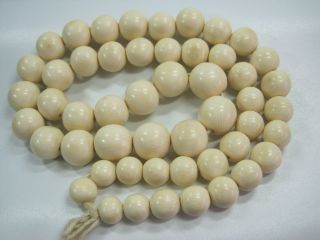 Imposanter & Wunderschöner Strang Perlen Aus Bein Ca.  103 G Verlaufend Bild