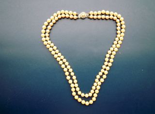 Damen Schmuck Halskette,  Perlen,  Verschluss 800 Gepunzt Bild