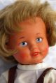 Alte Schildkröt Puppe,  Gr.  Ca 28cm,  60er Jahre,  Gut Erhalten,  Top Schildkröt Bild 1
