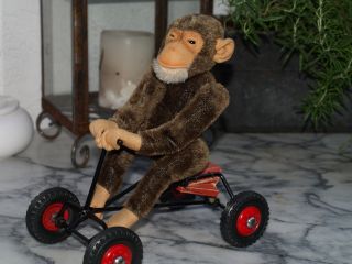 Steiff Schimpanse,  Selbstfahrer,  Artikel Nr.  9325,  10 Bild