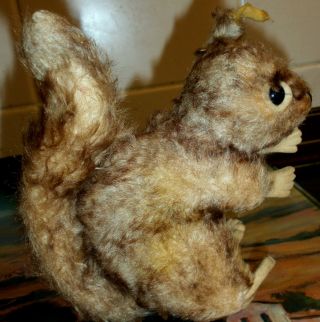 Eichhörnchen Steiff Altes Stofftier Knopf Im Ohr Squirrel Toy Kellerfund Bild