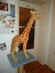 Große Antike Originale Steiff Giraffe Ca.  75 Cm Aus Sammlungsauflösung Stofftiere & Teddybären Bild 1