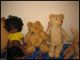 Konvolut Tiere - Puppen - Teddybären • Steiff • Schildkröt Usw.  • Sammler Hobby Schildkröt Bild 3