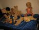 Konvolut Tiere - Puppen - Teddybären • Steiff • Schildkröt Usw.  • Sammler Hobby Schildkröt Bild 8