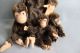 Niedliche Alte Steiff - Affenbande Stofftiere & Teddybären Bild 2