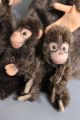 Niedliche Alte Steiff - Affenbande Stofftiere & Teddybären Bild 3