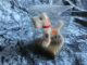 Kleine Ara Wollminiatur Hund Terrier 4,  5 Cm I.  Verpackung Stofftiere & Teddybären Bild 1