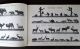 Lineol Katalog,  Tiere,  Verschiedene Figuren,  Soldaten Usw. Gefertigt nach 1945 Bild 2