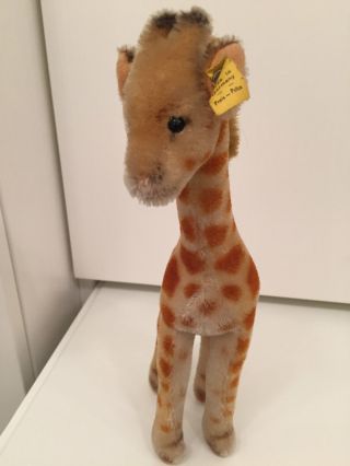Steiff Giraffe Aus Den 50er - /anfang 60er - Jahren Bild