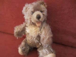 Steiff Teddy Zotty Antik 23cm Teddybär Bear Sammlerbär Mohair Knopf Old Bild