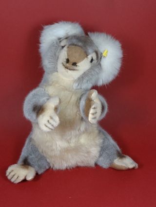 Steiff Bär Molly Koala 0331/40 - Vitrinenstück - Teddy Bear,  40 Cm,  1973 - 1977 Bild
