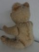 Alter Teddybär Für Liebhaber Teddy 30 Cm Bewegliche Gelenke Stofftiere & Teddybären Bild 2