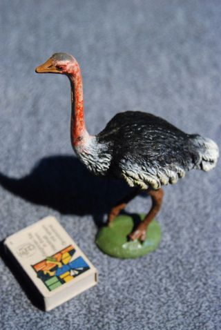 Massefigur Exotische Tiere Vogel Strauß Elastolin Germany Bild