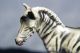 Massefigur Exotische Tiere LÖwe,  Zebra 2 Stk Elastolin & Lineol Bild 4