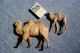 Massefigur Exotische Tiere Kamel Trampeltier 2 Stk Elastolin & Lineol Bild 1