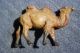 Massefigur Exotische Tiere Kamel Trampeltier 2 Stk Elastolin & Lineol Bild 3