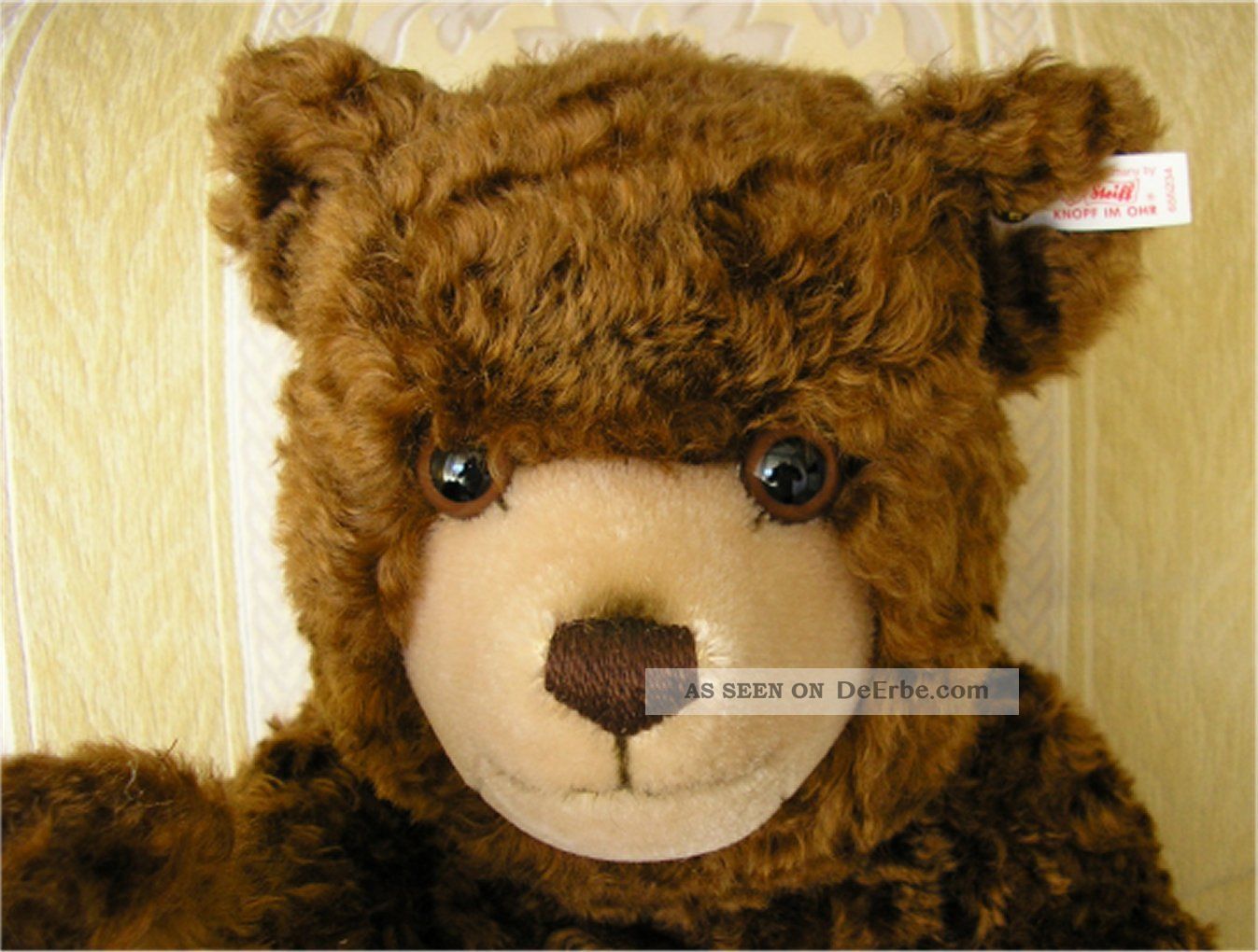 Fritzl Und Hein Käthe Kruse Puppe Und Steiff Teddybär