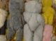 Alte Teddybär Sammlung Alte Teddies Teddy Uralt 1900 Hdt.  18 Stück Konvolut Stofftiere & Teddybären Bild 10