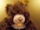 Steiff Cosy Teddy 1968 - 75 Fahne Silberknopf Antique German Bear,  Ours En Peluche Steiff Bild 2