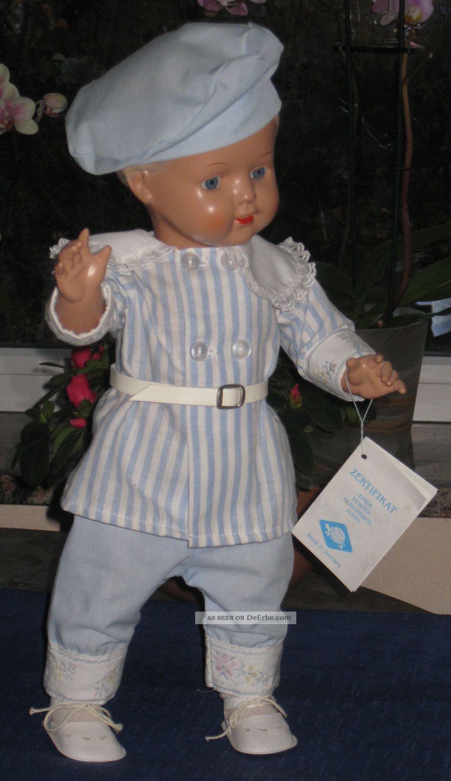 Schildkröt Puppenjunge 