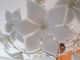 Deckenlampe Pendel Leuchte Metall Glas Lüster Blüten Lampe Blumen 3 Flammig Top Design & Stil Bild 2
