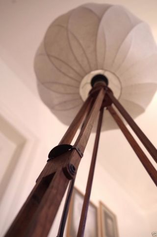 Cocoon Tripod Steh Lampe Holz Stativ Dreibein Art Deco Loft Antik 20 60 Ica Flos Bild