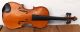 Schöne Alte Kleine Französische Geige/violine Compagnon Um 1900 Im Holzkasten Saiteninstrumente Bild 1