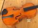 Schöne Alte Kleine Französische Geige/violine Compagnon Um 1900 Im Holzkasten Saiteninstrumente Bild 3