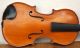 Schöne Alte Kleine Französische Geige/violine Compagnon Um 1900 Im Holzkasten Saiteninstrumente Bild 4