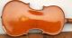 Schöne Alte Kleine Französische Geige/violine Compagnon Um 1900 Im Holzkasten Saiteninstrumente Bild 8
