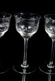 12 Edle Weingläser Mit Blätter Gravur 250 Ml Weißwein Gläser Wein Glas H 18 Cm Glas & Kristall Bild 2