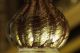 Deco Blumenvase Bauch Vase 11cm Glas Gold Rot Muschel Dekor Handwerk Antik Dekorglas Bild 6