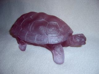Schildkröte Aus Glas Deckeldose Bild