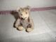 Kleines Steiff Vorkriegs - Teddy Baby Mit Altem Knopf,  Ca.  9cm Steiff Bild 2