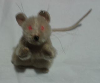 Sehr Alt Selten Steiff Weiße Maus Pieps Mit Roten Augen Mit Knopf Bild