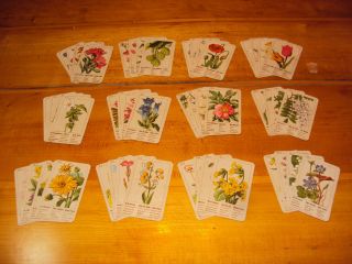 Altes Spielkarten Quartett Blumen Insgesamt 48 Karten Vollständig Bild