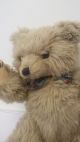 Teddybär - Plüschbär - Sammlerstück - Liebhaberstück 40 Cm Waschbar Stofftiere & Teddybären Bild 1