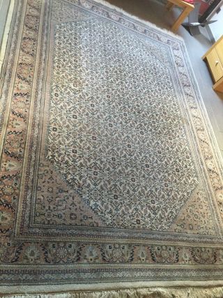 Orient Teppich Indien Echt Handgeknüpft 343x249 Bild