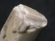 5200j.  A: WunderschÖn Meisel Steinzeit Neolithikum Flint Silex Trichterbecher K Antike Bild 4