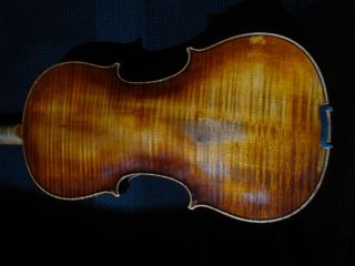 Schöne Alte Geige 