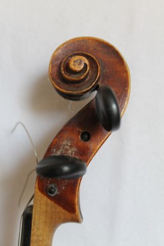 Geige Frant.  Batha Bild