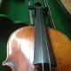 Geige Violine Antonius Stradivarius 1738 Saiteninstrumente Bild 5