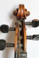 Alte Geige Saiteninstrumente Bild 6