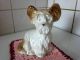 Porzellan - Hund Aus Der Ddr Gemarkt Für Sammler Und Liebhaber Nach Marke & Herkunft Bild 6