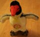 Steiff Pinguin Peggy,  Etwa 21 Cm,  Alt,  Mit Schild Tiere Bild 1