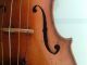 Schöne Geige Saiteninstrumente Bild 1